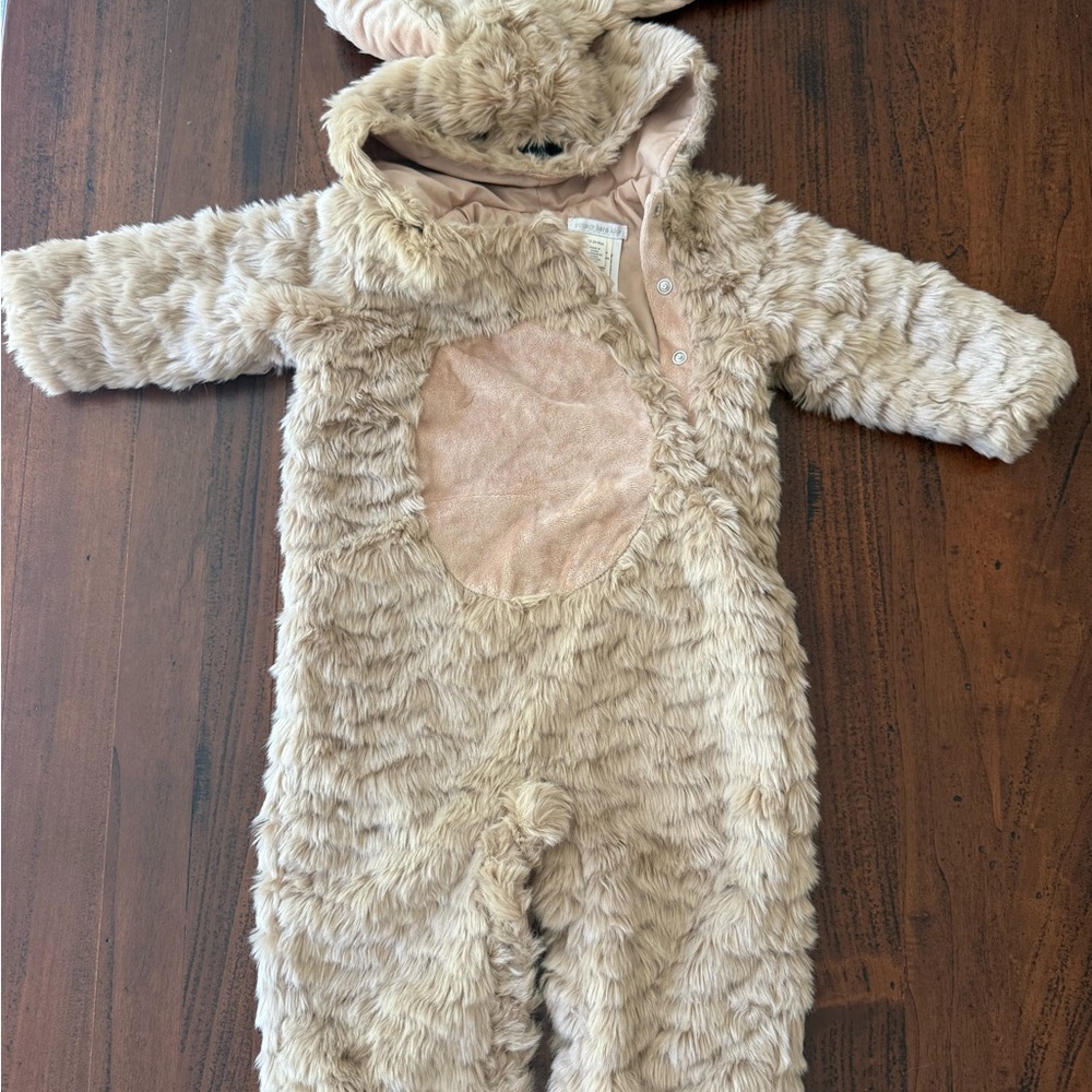 Pottery Barn Puppy Costume